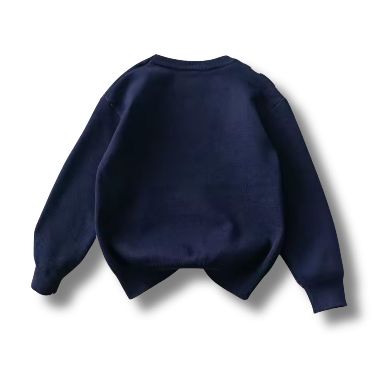 Spiderweb Navy Blue Sweatshirt